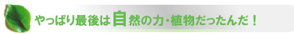 薬草・食品・植物の力