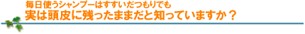Vv[̌@Ζ@@댯