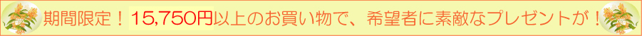�����Â��茤�����@���z�w���җl�@�v���[���g