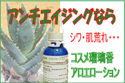 �ڗ����A���G���[�V����