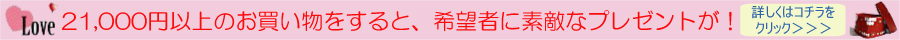 �����Â��茤�����@���z�w���җl�v���[���g