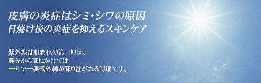�畆�̉��ǂ̓V�~�E�V���̌���